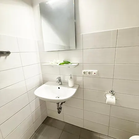 Strandlaeufer * Burgtiefe auf Fehmarn